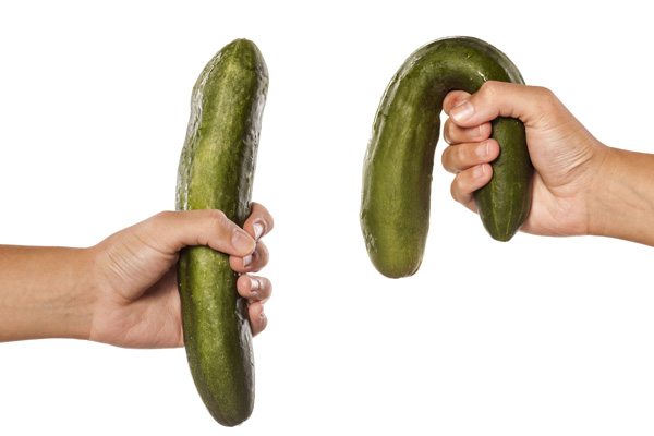 Firm and flaccid cucumber